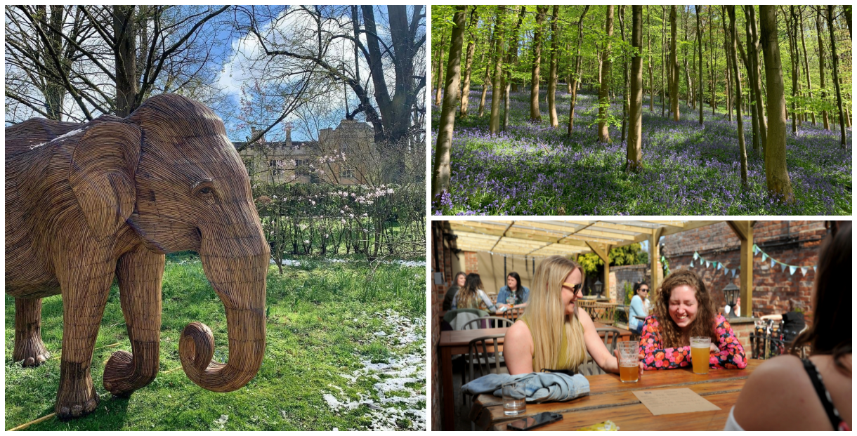 Unmissable things to do in Cheltenham May 2021 